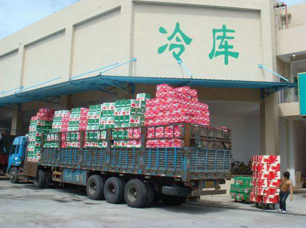 在农村里开冷库怎么样？要注意些什么
